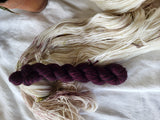 Suguared Plums  sock set, hand dyed sock set,  Superwash Merino/Nylon, Fingering weight yarn Weight yarn